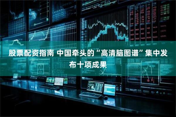 股票配资指南 中国牵头的“高清脑图谱”集中发布十项成果